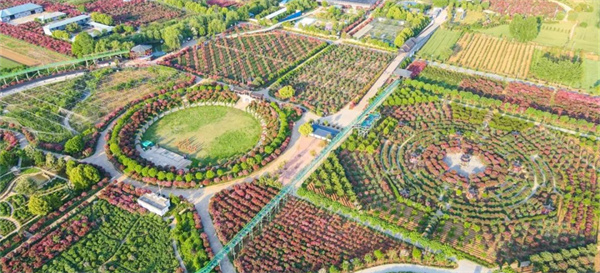 南阳月季博览园